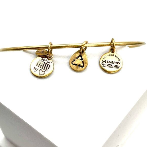 Alex and Ani Bracelet Key bangle - Picture 2 of 2